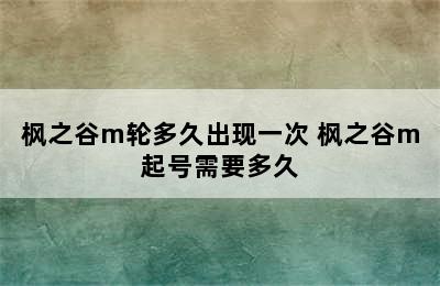 枫之谷m轮多久出现一次 枫之谷m起号需要多久